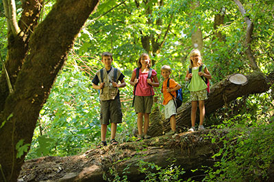 Children in the forest